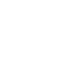 Business Process Mapping